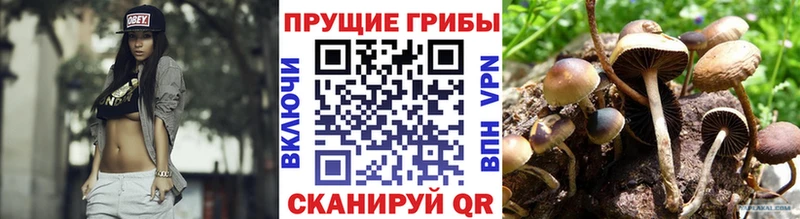 Галлюциногенные грибы мухоморы  как найти наркотики  ссылка на мегу зеркало  Малгобек 